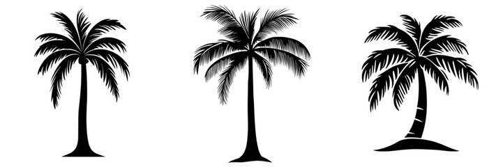 A simple yet elegant silhouette of a palm tree stands tall against a blank backdrop, evoking images of tropical beaches, summer holidays, and paradise