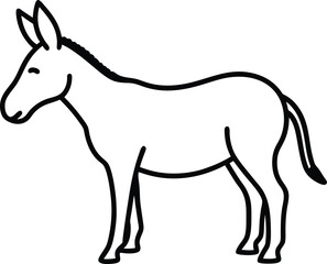 donkey isolated on white background