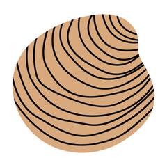 Clam 3 cute on a White background, vector illustration.