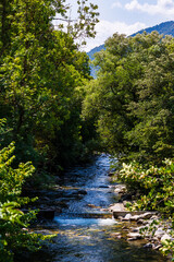 Neste du Louron River Flowing Through the Town of Arreau