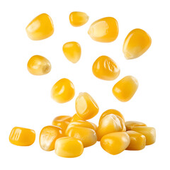 Fresh yellow corn kernels isolated on black background sweet corn seeds for healthy eating diet 100 characters