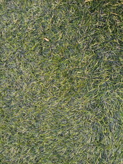 Overhead view of vibrant green artificial turf, perfect for backgrounds