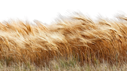 Abstract Gold And White Mountain Range Landscape