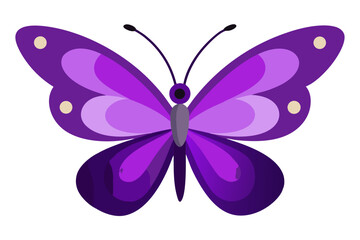 butterfly vector illustration