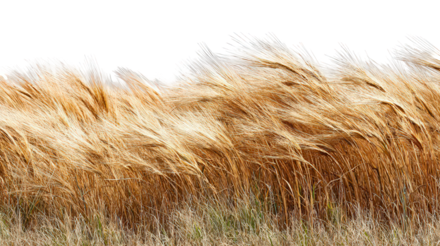 Abstract Gold And White Mountain Range Landscape