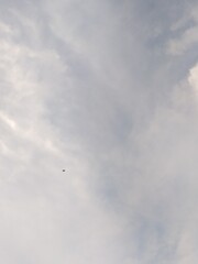 Atmospheric Sky Cloudscape with a Tiny Bird Soaring in the Distance