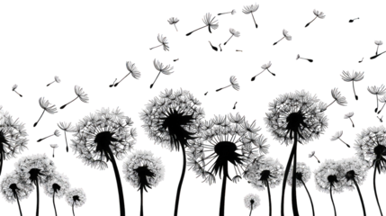 Abstract Monochrome Dandelion Seeds Dispersion
