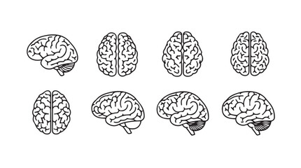 Collection of hand drawn brain silhouettes from different angles silhouette