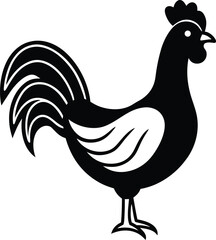 rooster isolated on white