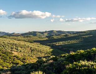 Fototapeta premium Lush hillside valley under a partly cloudy sky