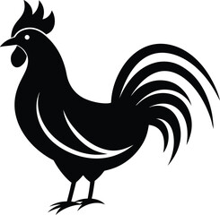 rooster isolated on white background