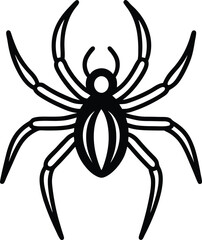 spider on a white background