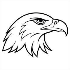 eagle head vector illustration