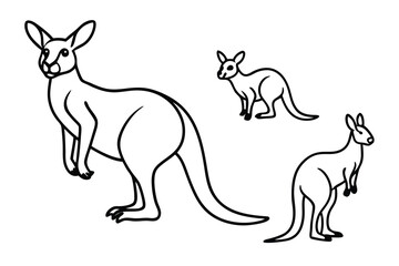 kangaroo vector illustration