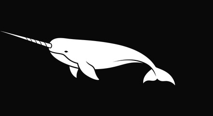 White narwhal swimming underwater ocean wildlife. © gudangPIXEL