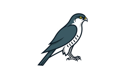Fototapeta premium Stylized falcon bird of prey illustration isolated on white.