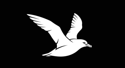 Elegant white bird soaring gracefully against a stark black backdrop.