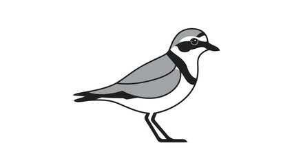 Side view of a small gray and black bird likely a shorebird detailed illustration.