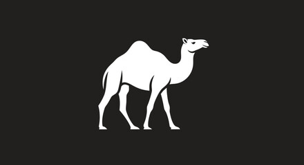 Elegant White Camel Silhouette on Dark Background: A Desert Icon.
