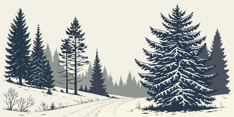 Naklejka premium Serene winter forest scene with snow-covered pine trees and a winding path evoking tranquility and a sense of adventure for holiday and nature themes