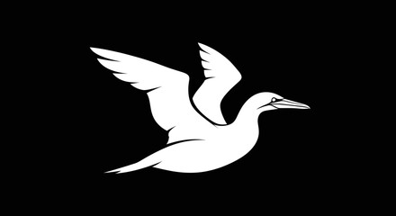 White bird in flight wings spread wide elegant pose.