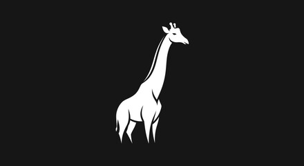 Elegant White Giraffe Silhouette on Black.
