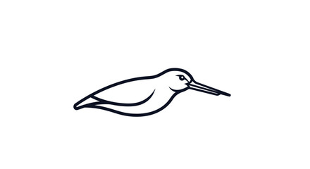Elegant shorebird profile illustration showcasing avian grace and detailed features.