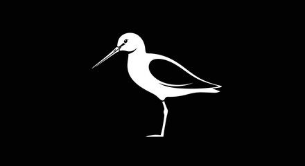Elegant Silhouette of a Shorebird.