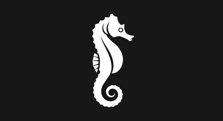 Elegant white seahorse silhouette against a stark black background graceful marine creature.