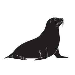 A sleek seal, , sits gracefully, its dark, glossy coat shimmering in the light, a symbol of marine life and the beauty of the ocean