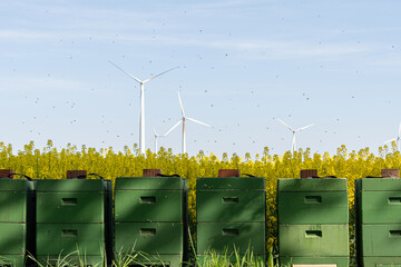 Fototapete bei efototapeten.de bestellen   