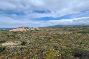 Blick über die Wanderdüne Duna de Cresmina, Portugal
