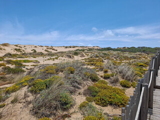Wanderweg in der Wanderd&uuml;ne Duna de Cresmina, Portugal