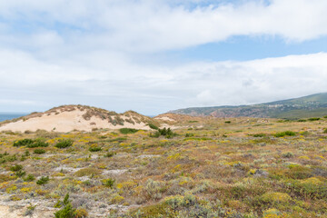 Blick über die Wanderdüne Duna de Cresmina, Portugal