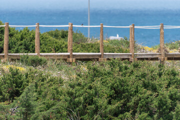 Holzsteg in der Wanderdüne Duna da Cresmina, Portugal