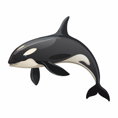 Naklejka premium Orca