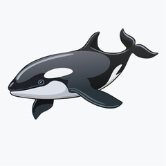 Fototapeta premium Orca