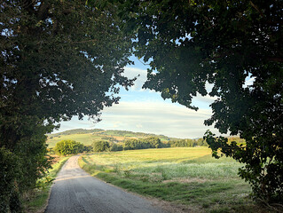 Oltre gli alberi le campagne di San Lorenzo in Campo nelle Marche in Italia