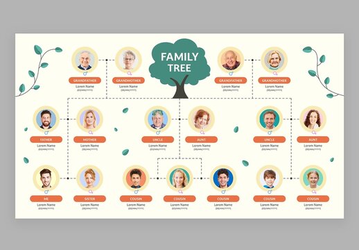 Family Tree Infographic & Org Chart Layout with Cute Education Style for School Teachers