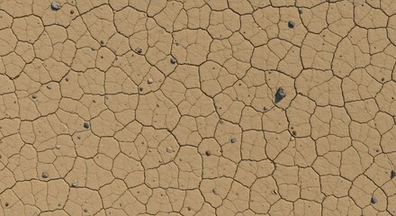Cracked Earth Surface with Pebbles, Arid Tan Ground Texture