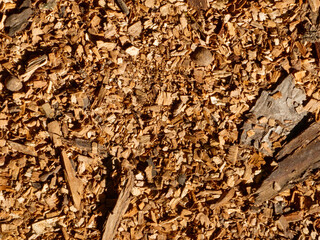Close-up of brown wood chips texture.