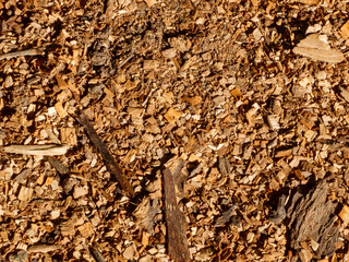 Close-up of brown wood chips texture.