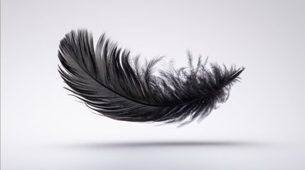 Obraz premium Elegant black feather floating gently in a studio setting, showcasing texture, contrast and minimalism
