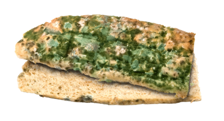 Mold growing on slice of bread on transparent background
