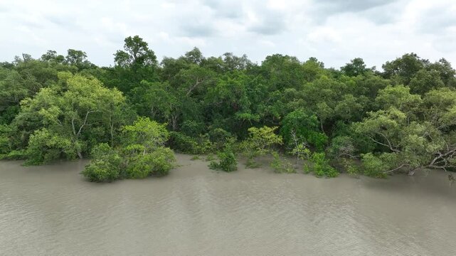 Mangrove Trees Submerged During High Tide in the Sundarbans &ndash; 4K smoot Aerial View