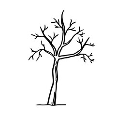 Dry tree isolated on a white background. Landscape sketch. Vector hand-drawn illustration in outline style. Perfect for cards, decorations, logo, nature-themed designs.