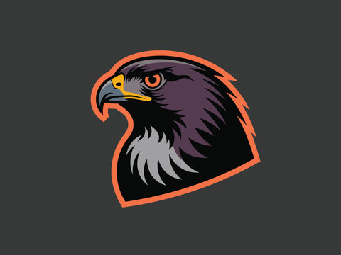Illustration of an eagle head with orange outline on a dark gray background in vector format