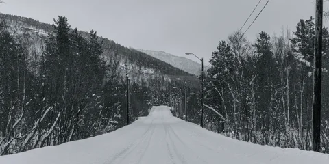 Gordijnen Poolcirkel Snowy Road in a Forest  © Hortigüela