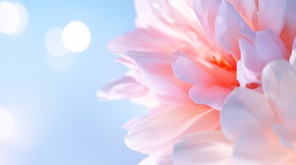 Soft Petal Reverie: A delicate flower in soft pink hues dances gracefully against a blurred backdrop of ethereal bokeh, exuding tranquility.