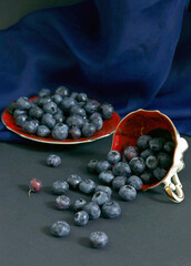 Blueberry still life with overturned cup and red saucer on dark blue background